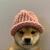 dogwifhat logo