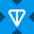 TON logo